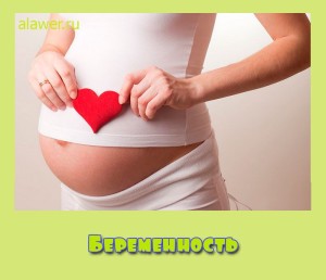 Beremennost