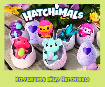 Игрушечное яйцо Hatchimals
