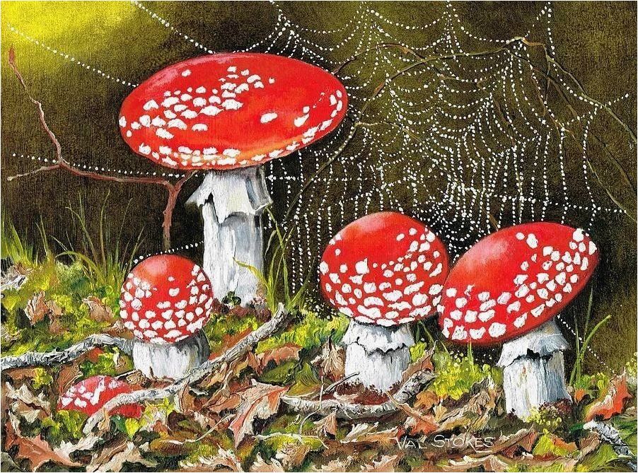 Мухомор — характеристика, особенности строения и применение