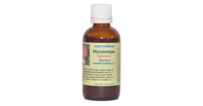 Мухомор — характеристика, особенности строения и применение