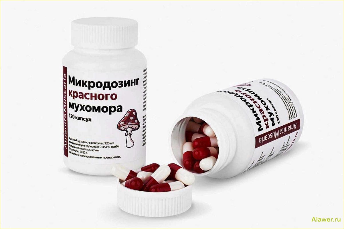 Микродозинг мухоморов в капсулах: польза и риски