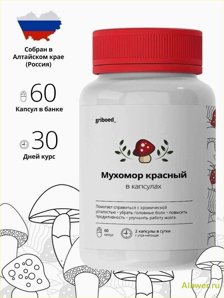 Микродозинг мухоморов в капсулах: польза и риски