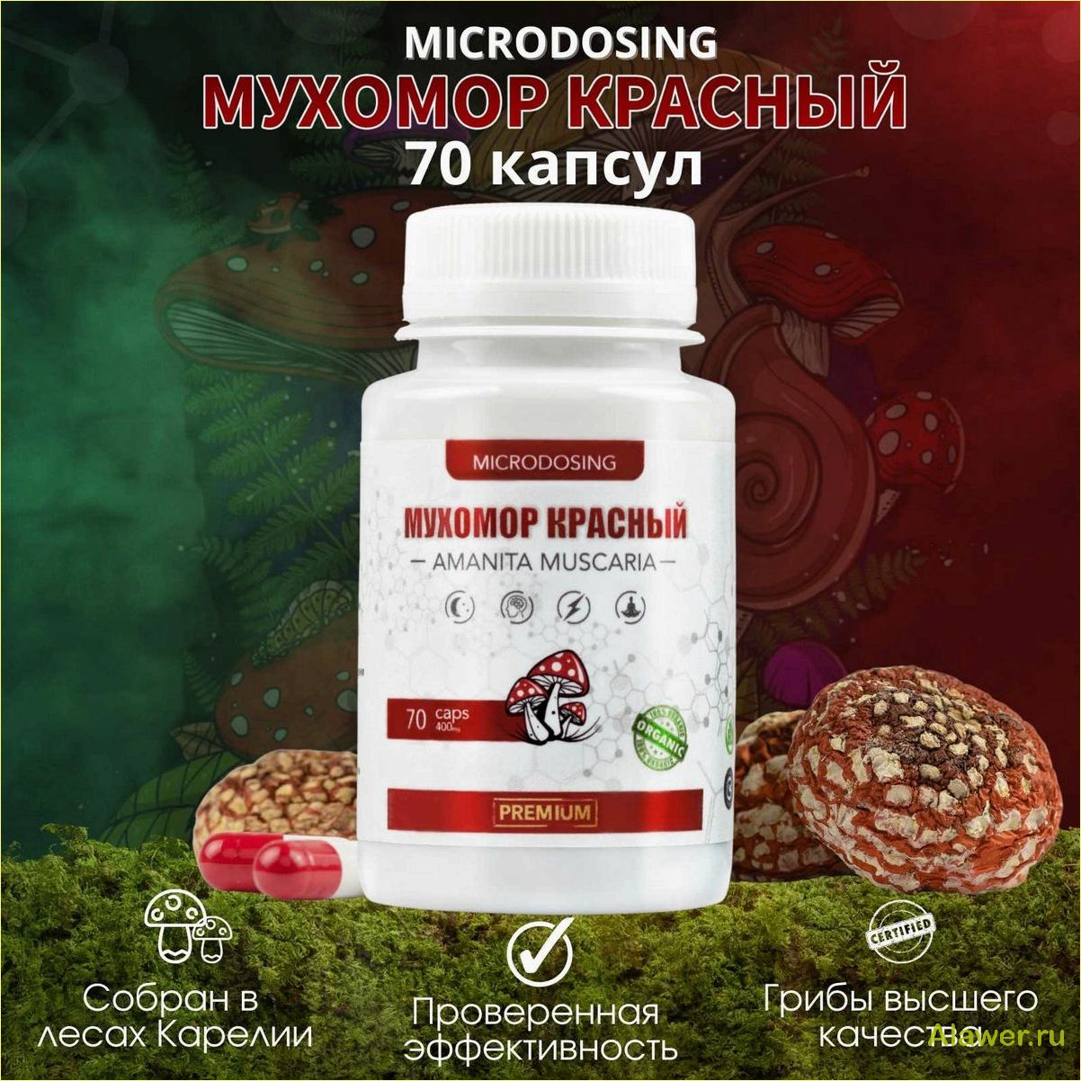 Микродозинг мухоморов в капсулах: польза и риски