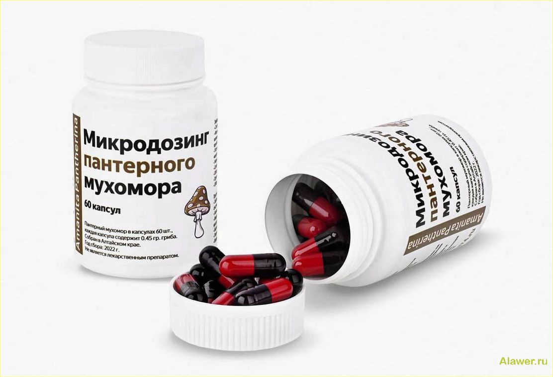 Микродозинг мухоморов в капсулах: польза и риски