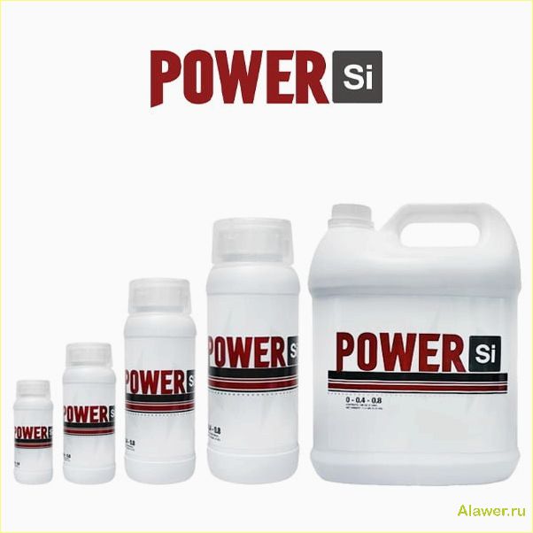 Power Si — оригинальная запатентованная форма стабилизированного биодоступного кремнезема