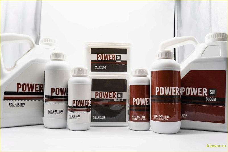Power Si — оригинальная запатентованная форма стабилизированного биодоступного кремнезема