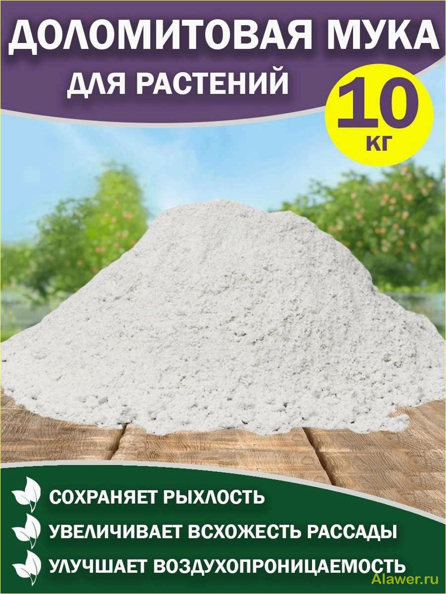 Преимущества и применение доломитовой муки в садоводстве и сельском хозяйстве
