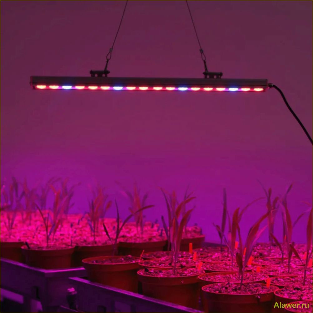 Преимущества светодиодных LED светильников для выращивания растений