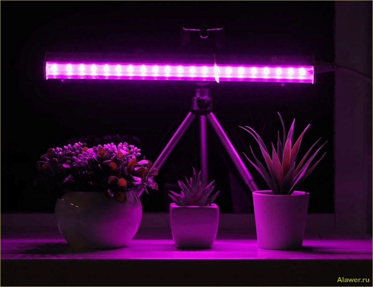 Преимущества светодиодных LED светильников для выращивания растений